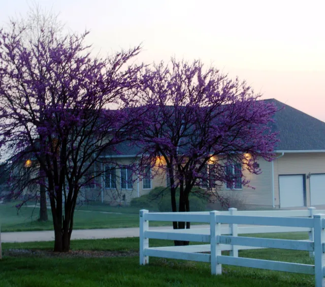 Cedar Lane Bed and Breakfast