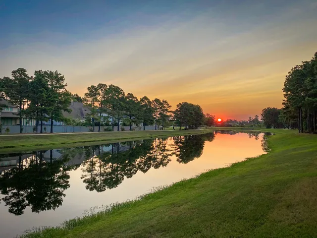 Footbridge Way Pond Park