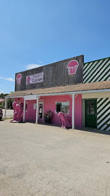 Two Girls and a Cupcake
