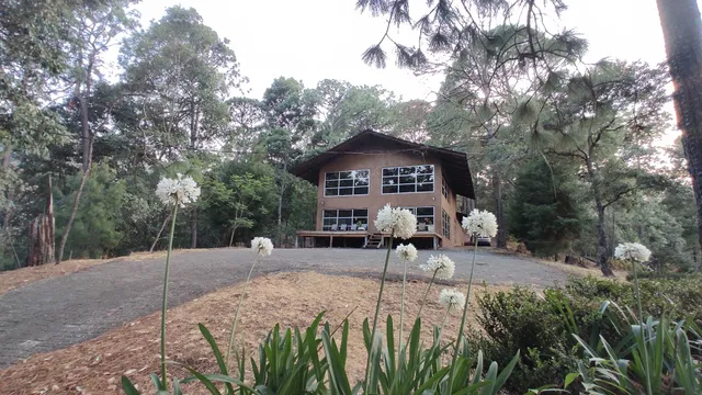 Cabaña en Bosque Privado