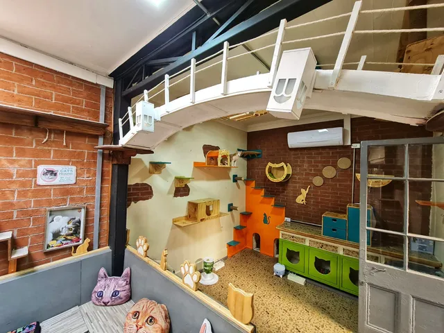 El Mundo de Dalí Catcafe