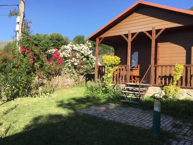 CAMPING CINCO CASTAÑOS