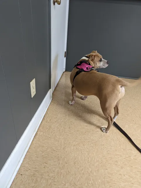 College Park Road Veterinary Clinic