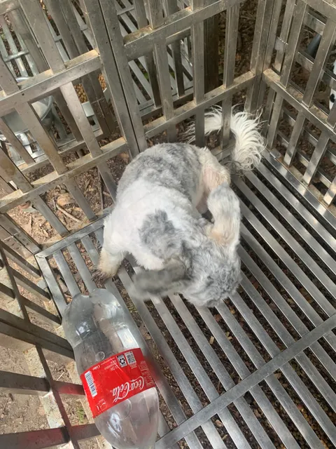 Coldwater Trade Days Market