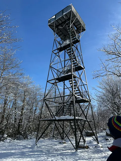 Mount Davis Observation Tower