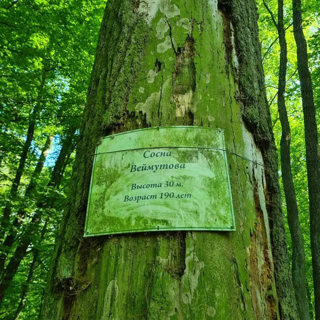 Duboi Nad Pinai Agrousad'Ba