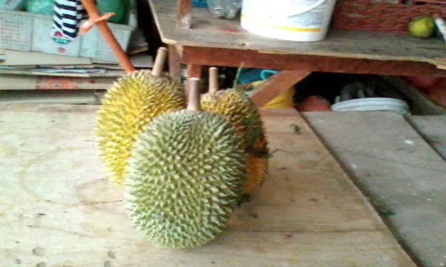 Merlin (Air-Cond) Restaurant