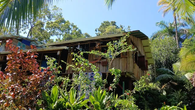 Pure Tree Experience