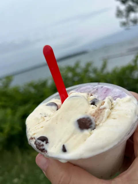 Gelato Fiasco Gelato Truck