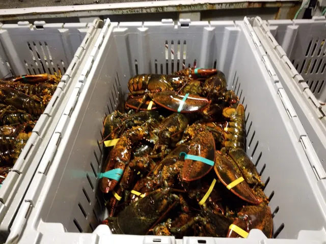 Narragansett Bay Lobsters Inc