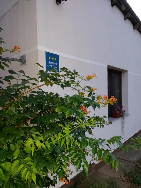 Studio apartman Kotro