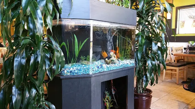 Pho #1 Express & Sandwiches