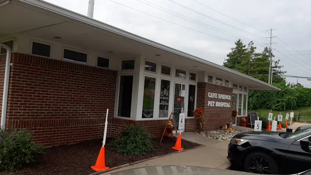 Cave Springs Pet Hospital