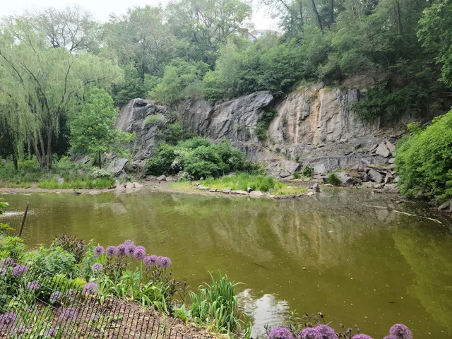 Morningside Waterfall