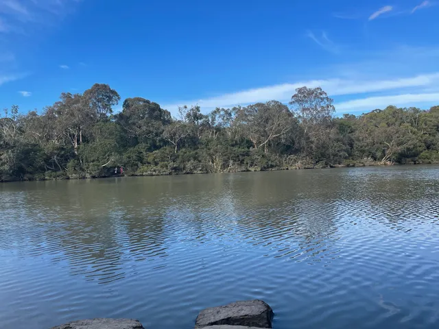 Blackburn Lake Sanctuary