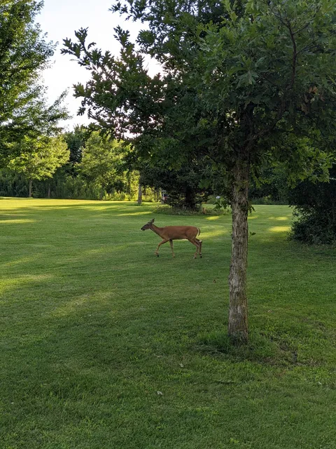 Frank Grimes Disc Golf Course