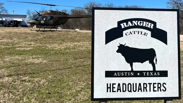 RANGER CATTLE