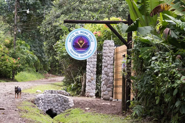 el Mono Feliz. Ojochal de Osa. Costa Rica