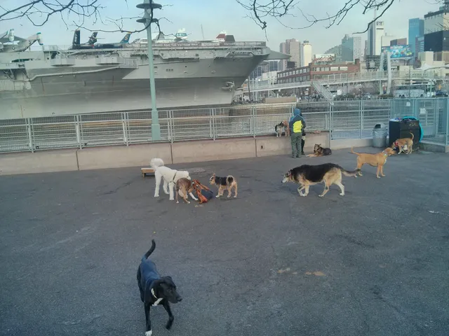 Pier 84 Dog Run