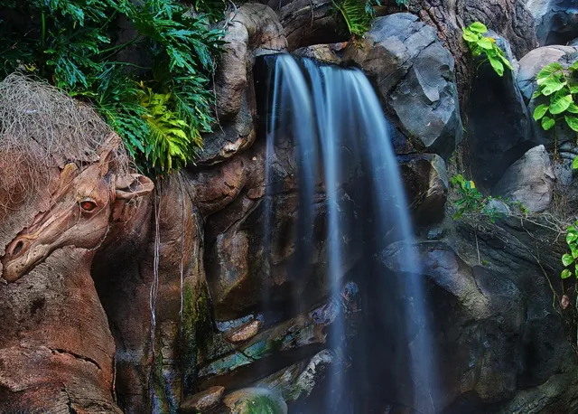 Discovery Island Trails