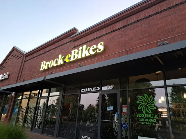 Brock Ebikes LLC