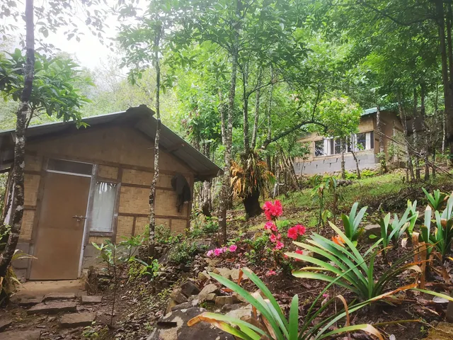 Hornbill view Cottages