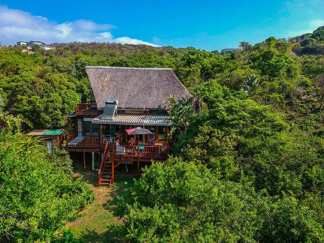 In The Green Backpackers