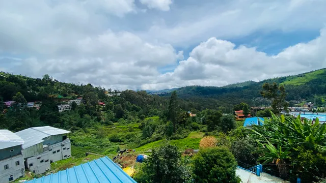 Vibe N Rejoice rooms & cottages