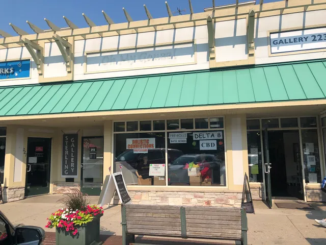 Wholistic Connections