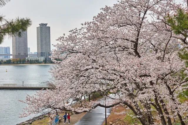 Observation deck at Odaiba Seaside Park