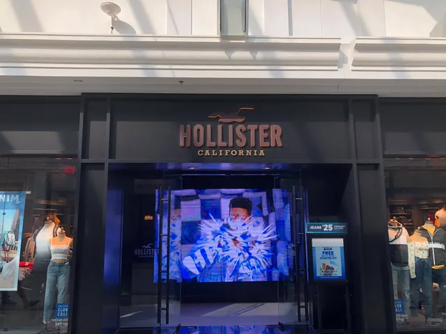 Hollister Co.