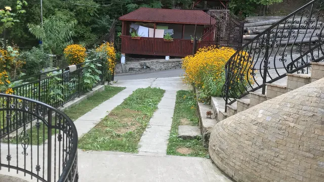 Vila Alpina Olanesti