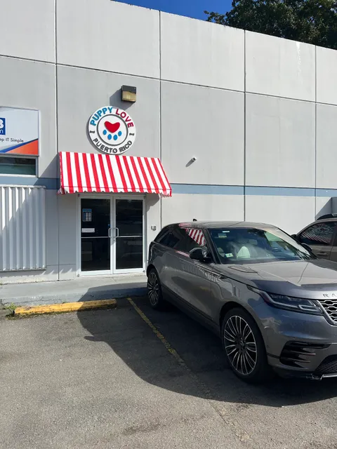 Puppy Love Puerto Rico