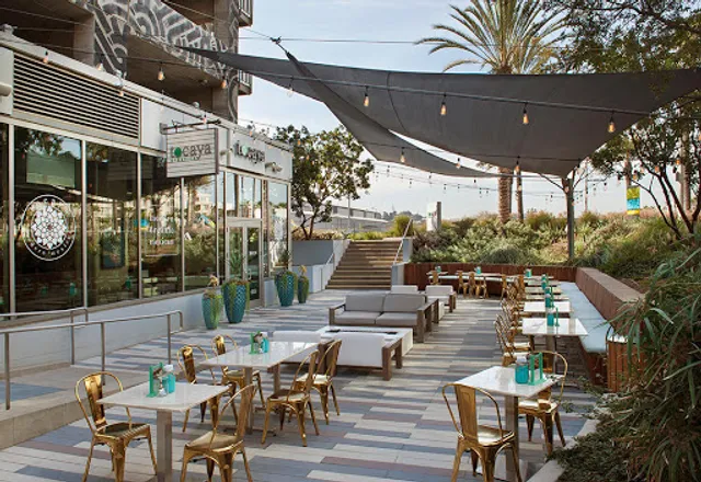 Tocaya Modern Mexican