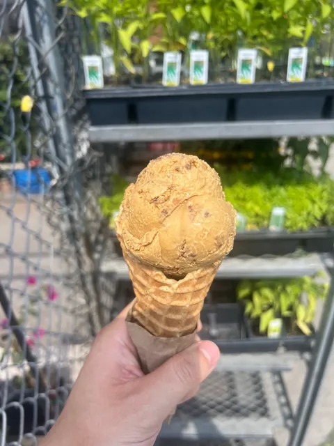 Honey's Ice Cream