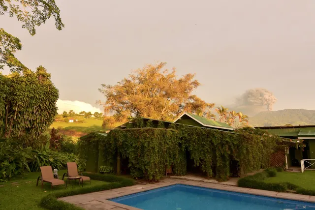 Los Titos Organic Coffee Farm