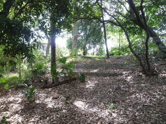 photo-1