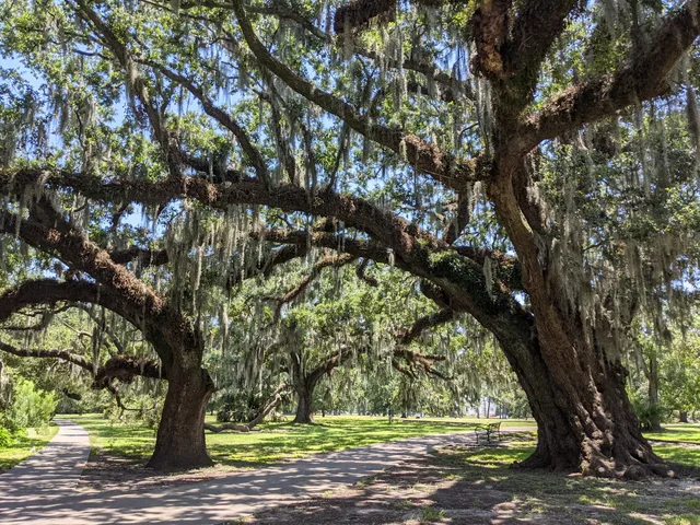 New Orleans City Park