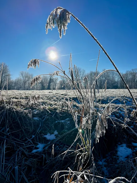 Sportverein Unterhausen e.V.
