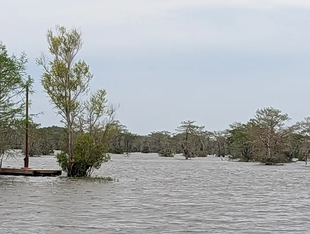 Atchafalaya Basin Landing Airboat Swamp Tours