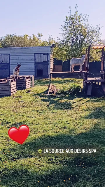 La source aux désirs spa privatif Ardres