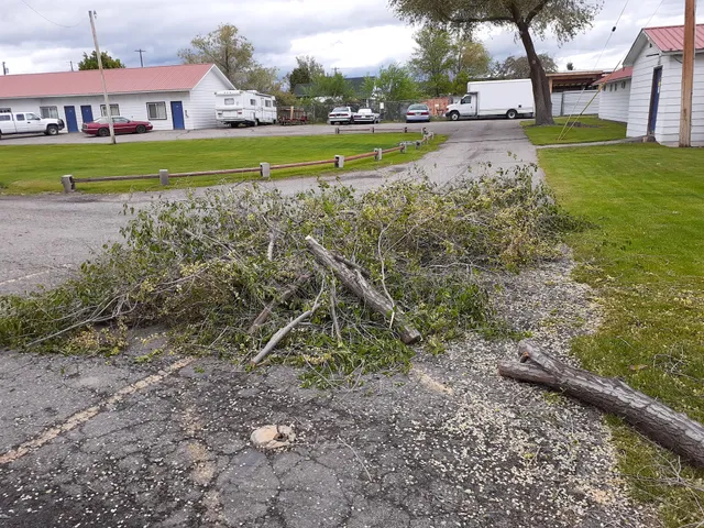 Alpine Inn of Kalispell