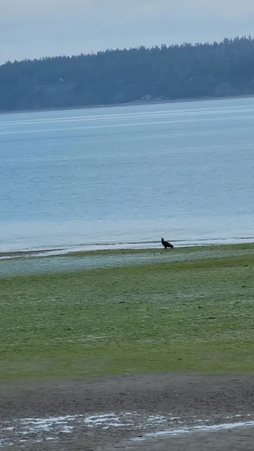 Beaches in Langley Whidbey Island wa