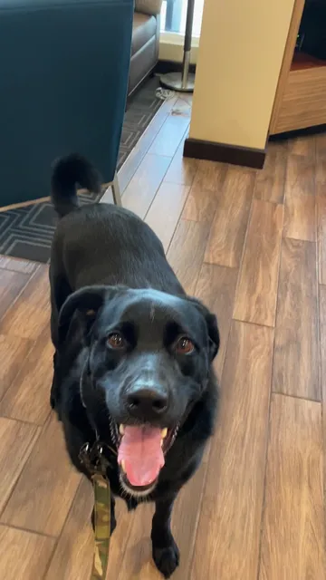 TownePlace Suites by Marriott Sarasota Bradenton West