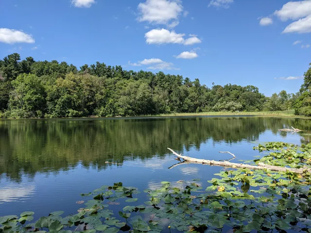 Saginaw Forest Trailhead