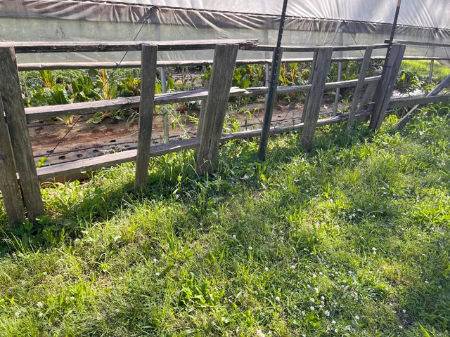 Patchwork City Farms LLC.