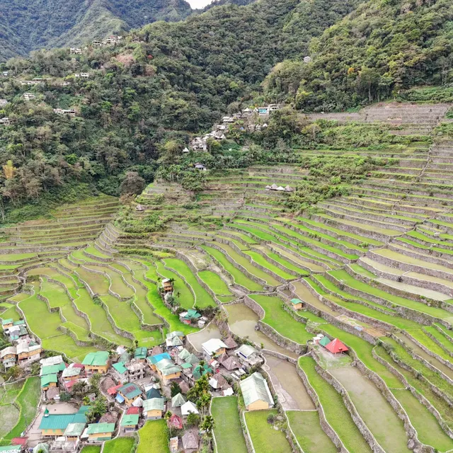 Batad View Inn and Restaurant