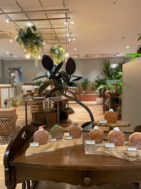 TRUFFLE DONUT 鳥取本店 / 生ドーナツ