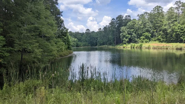 B F GRANT FOREST CHECK STATION