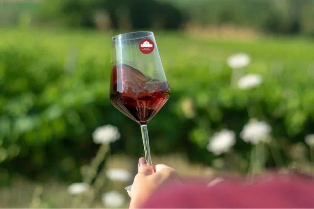 Piccola Cantina Rossi - Vini Biologici Naturali